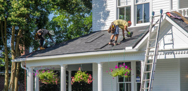 Asphalt Shingles Roofing in Pinckney, MI